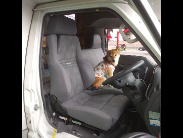 MAZDA�@�{���S�@SKF2T�i2008�N�j�@�Ɂ@RECARO�i���J���j�@�I���\�y�hAN220HV�@�O���C�@����