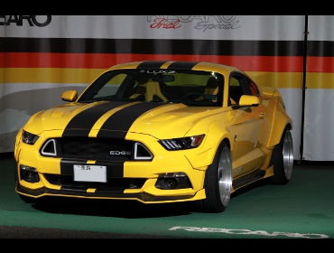 �}�X�^���O�Ƀ��J������