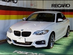 BMW@2ƒVƒŠ[ƒY@ƒN[ƒy@F22i2016”Nj@‚É@RECAROiƒŒƒJƒj@TS-G@GK@BK/BL@•@SR-7@GK100@BK/BL@‘•’…