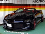 �V�{���[�@�J�}���@6��ځ@�Ɂ@RECARO�i���J���j�@SR-7�@Lassic�@RED�@�~���E�@����