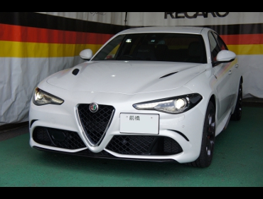 �A���t�@�����I�@�W�����A�i2019�N�j�@�Ɂ@RECARO�i���J���j�@RS-G�@�A���J���^�[���@�V�[�g�q�[�^�[�t���@����