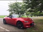 MAZDA�@ND���[�h�X�^�[��RECARO�i���J���jTS-G �A���J���^�[���@����
