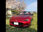 MAZDA�@���[�h�X�^�[�@ND5RC�i2015�N�j�@�Ɂ@RECARO�i���J���j�@SR-7�@GU100H�@RED�@���@SR-7F�@GU100�@RED�@����